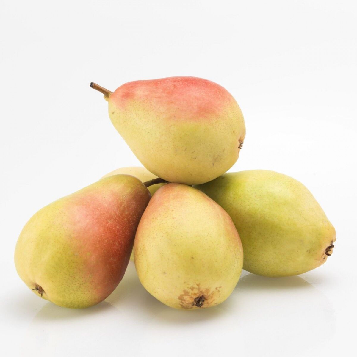 Santamaria Pear