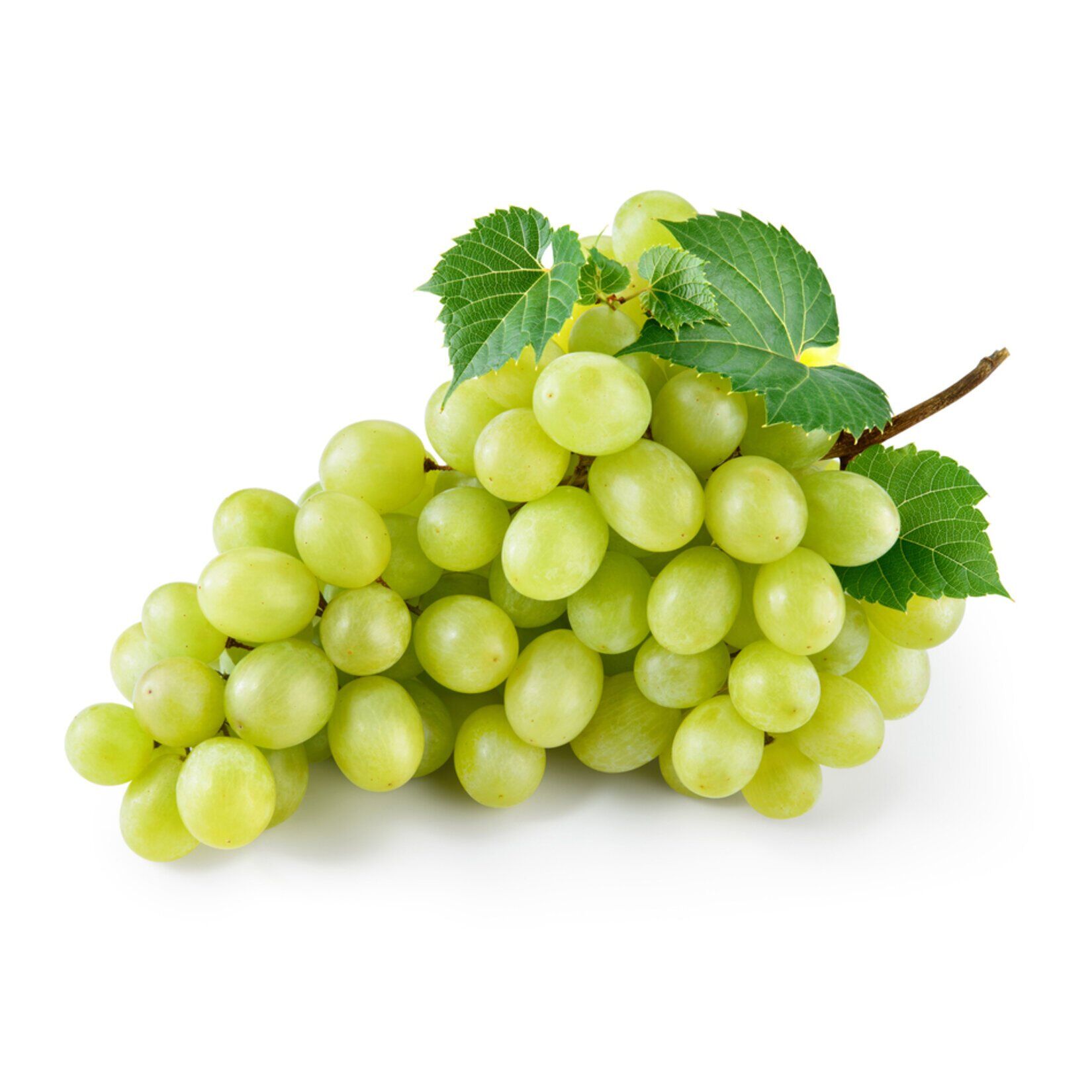 White Grapes