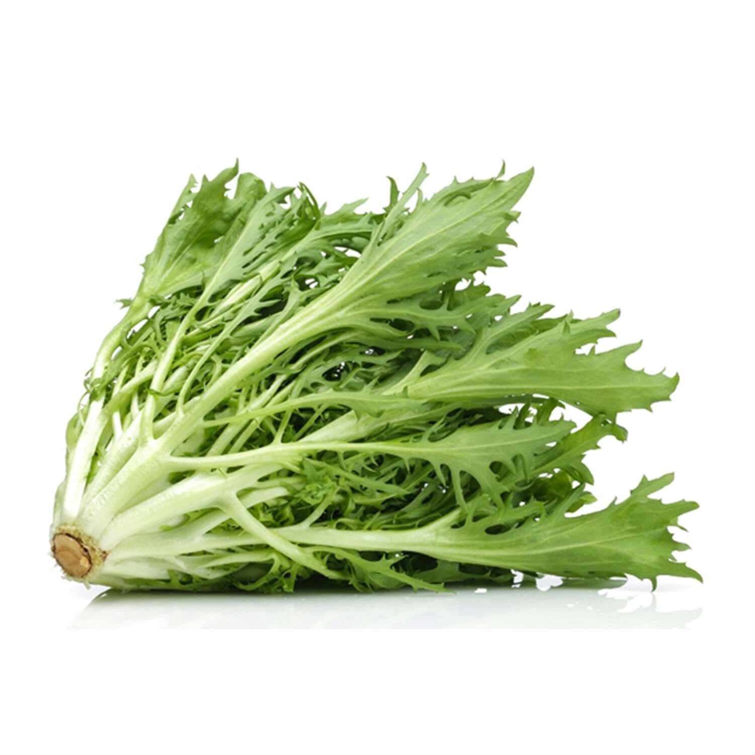 Endive