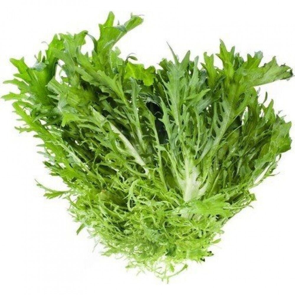 Radicchio