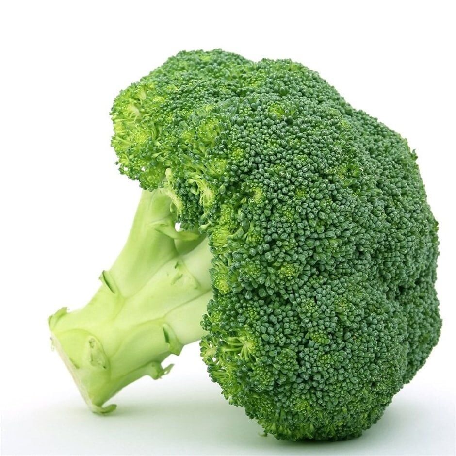 Broccoli
