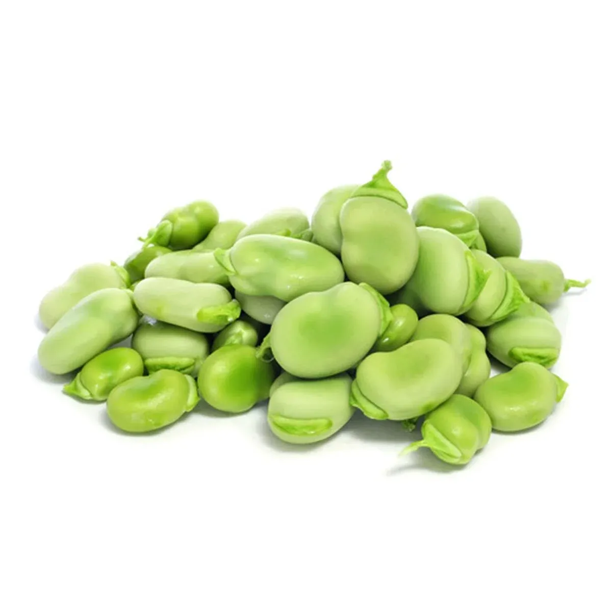 Fava Beans