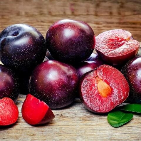 Malta Kırmızı Erik