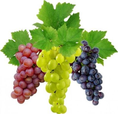 Grapes 