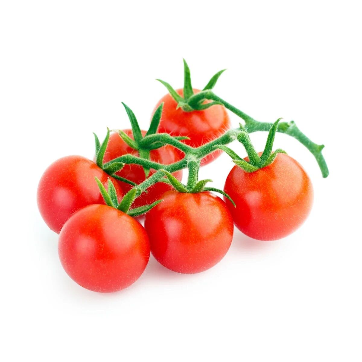 Çeri Domates