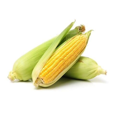 Fresh Corn