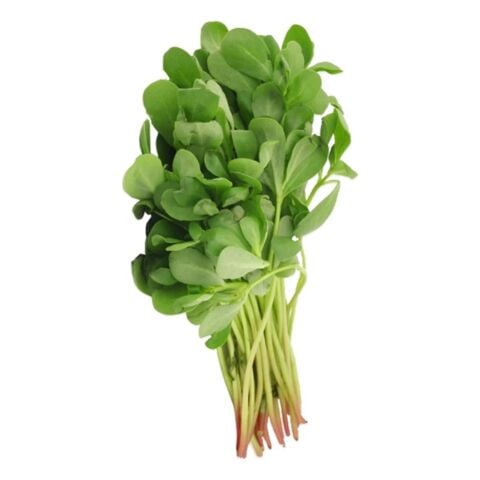 Purslane 