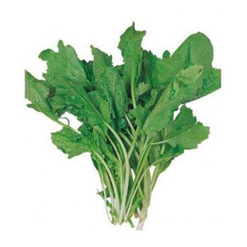 Cress 