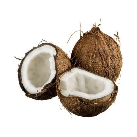 Coconut 