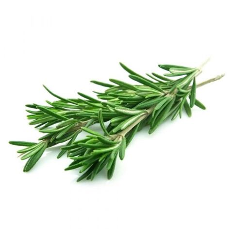 Rosemary 