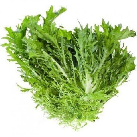 Radicchio