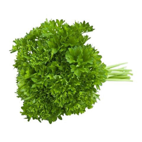 Chervil