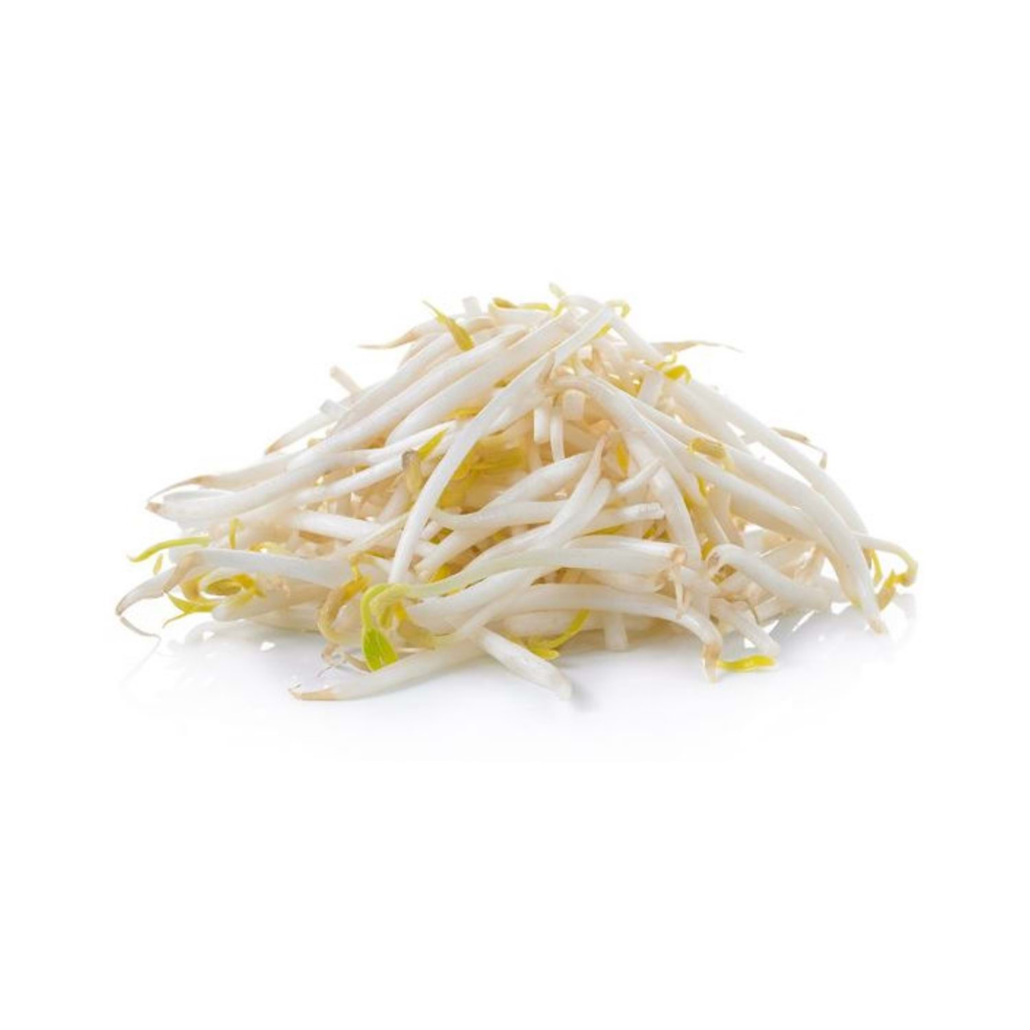 Soybean Sprouts
