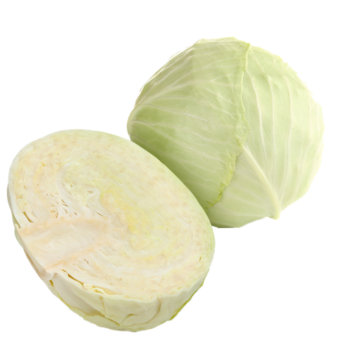White Cabbage