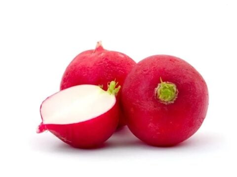 Red Radish
