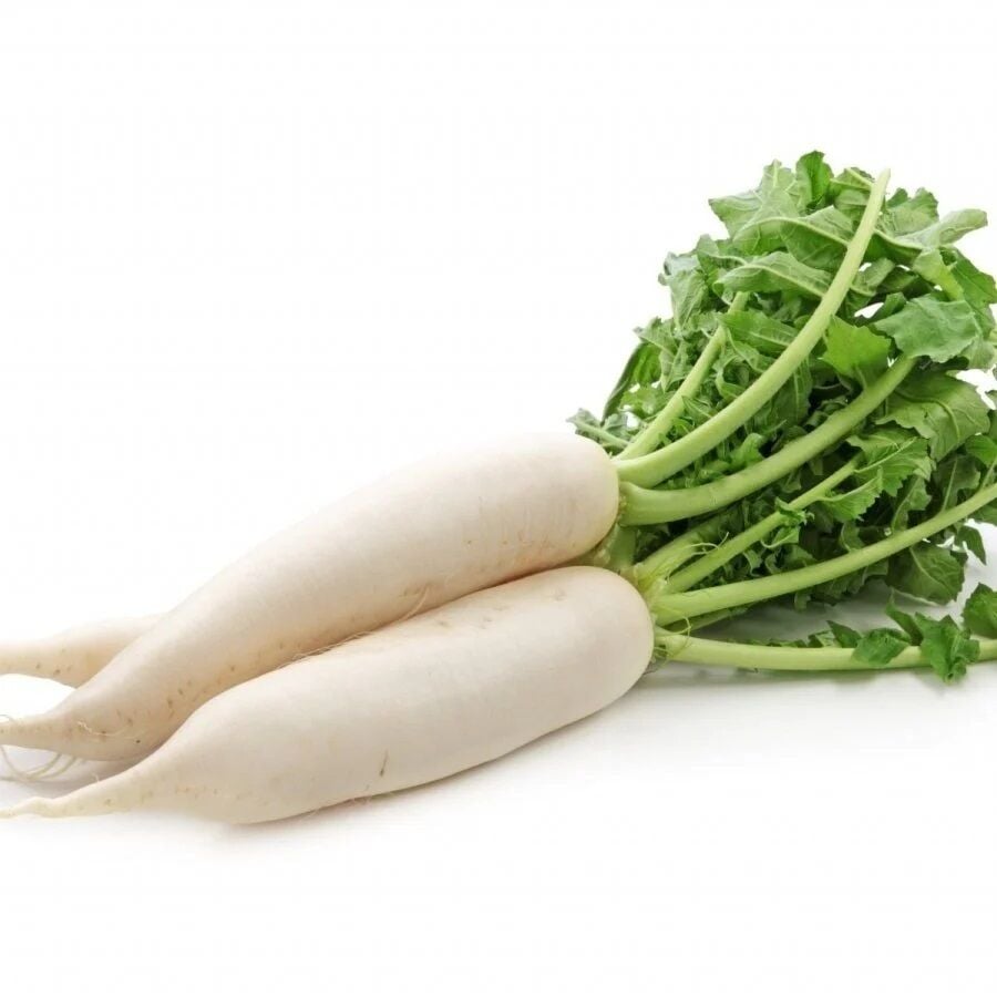 White Japanese Radish