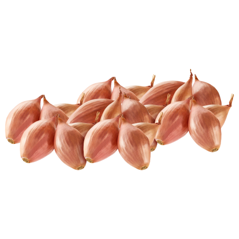 Shallots 