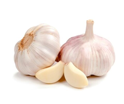 Garlic 