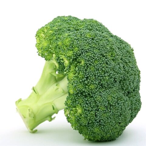 Broccoli 