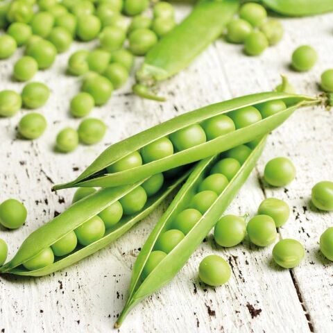 Peas 